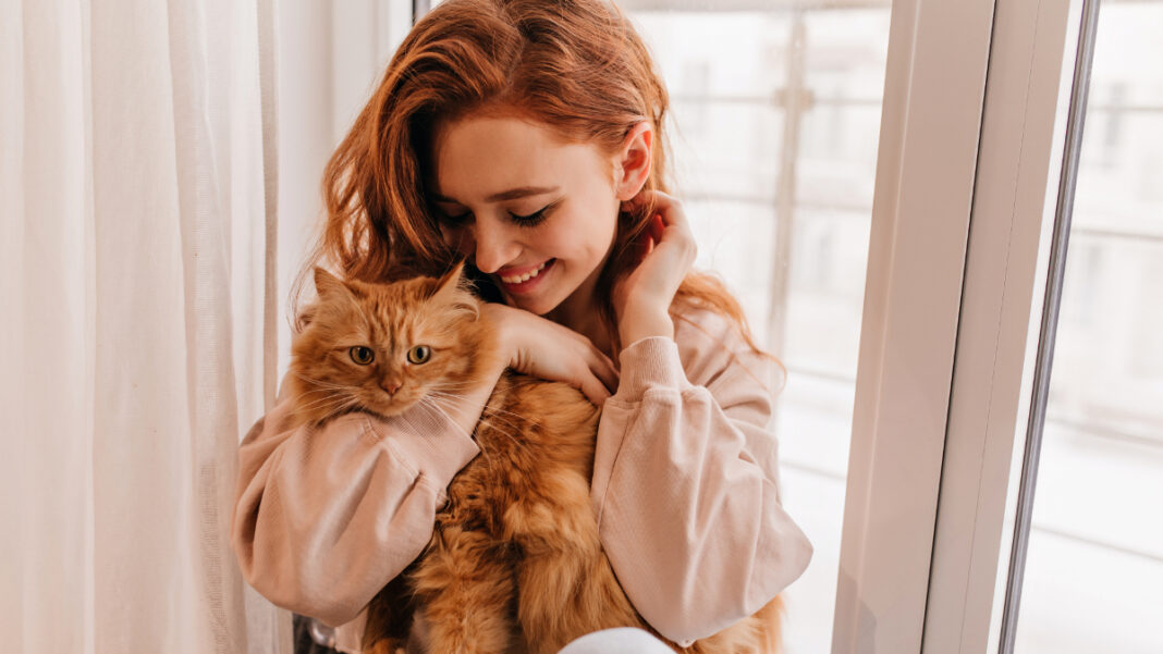 «Μια γάτα για τη θεραπεία μιας γυναίκας με ΧΑΠ» 
