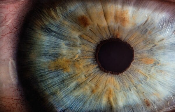 Νέες συνήθειες για την υγεία των ματιών μας: Τι πρέπει να γνωρίζετε
