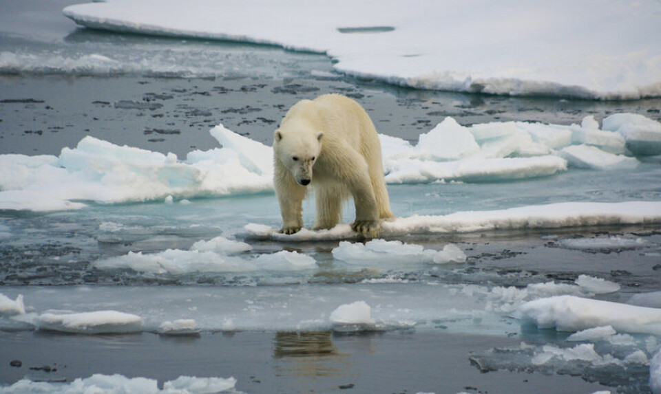 COP28: Νέες δεσμεύσεις απαιτούνται για την αντιμετώπιση της κλιματικής αλλαγής
