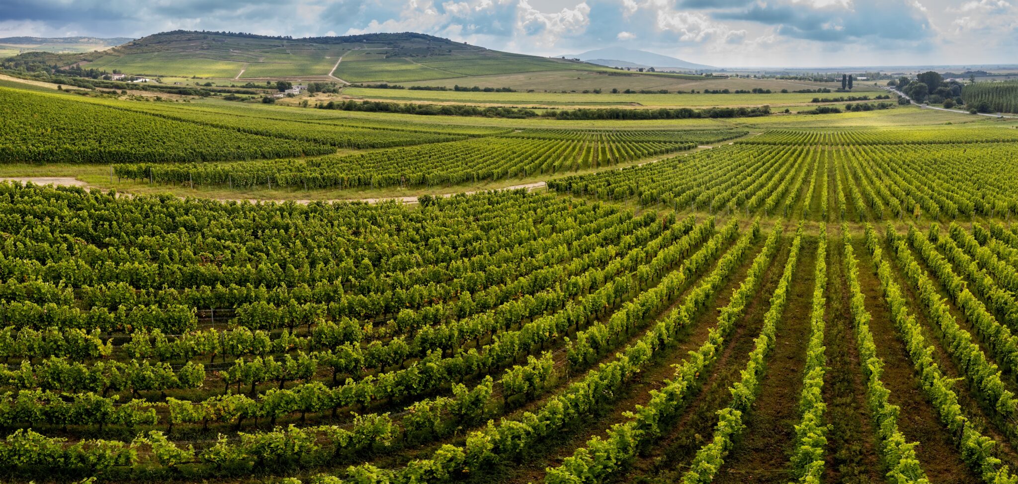 Το μαγικό κρασί της Ουγγαρίας: Ανακαλύπτοντας το Tokaj
