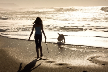 Νέα προβλήματα για τα σκυλιά στην παραλία
