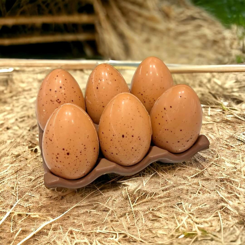 Βγαλμένα από παραμύθι: Η εκθαμβωτική σοκολατένια αυγά στην Θεσσαλονίκη - Ανακαλύψτε τις πιο μοναδικές δημιουργίες
