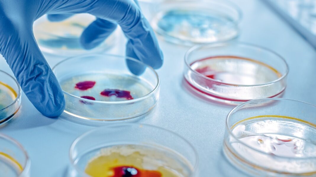 Νέα επιδημία σούπερ ανθεκτικών μικροβίων: Η απειλή που υποτιμάμε
