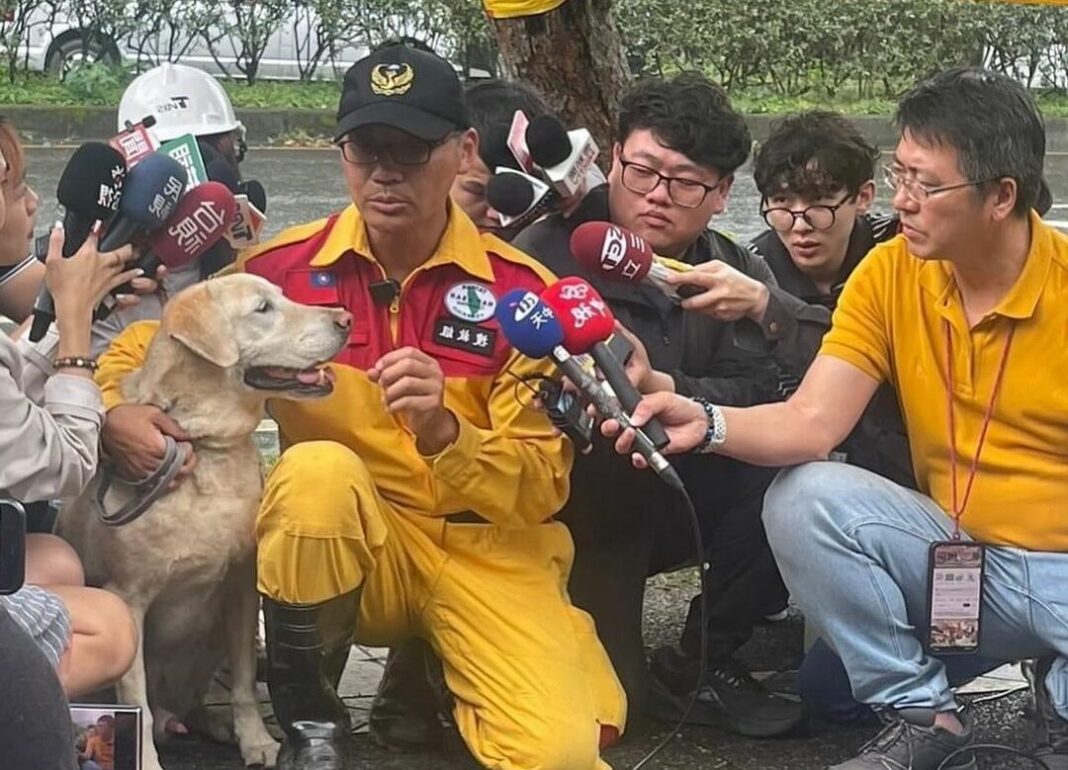 Οι σκύλοι-ήρωες που διασώζουν επιζώντες μετά τον καταστροφικό σεισμό της Ταϊβάν
