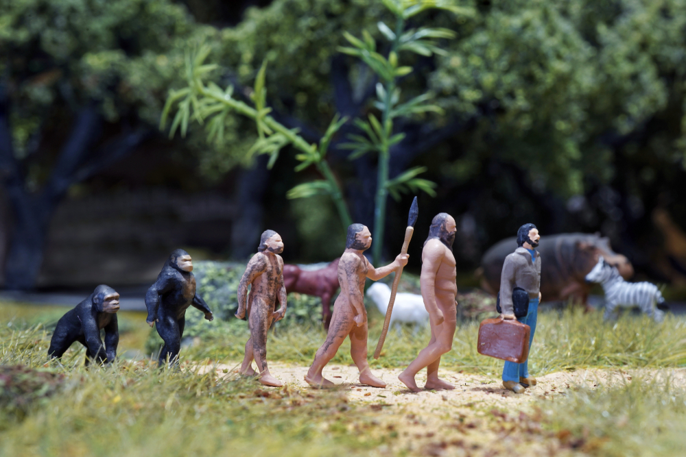 Η εξέλιξη των ανθρώπων: Από τους προγόνους μας στο Homo sapiens
